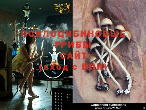 мдма Бородино